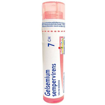 Remède homéopathique -  Gelsemium sempervirens 7CH