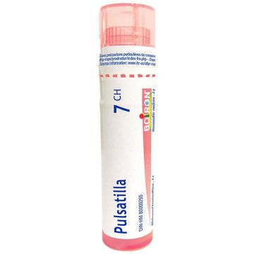 Remède homéopathique - Pulsatilla 7CH