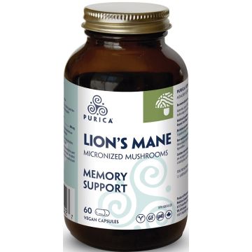 Lion's Mane - Memory support