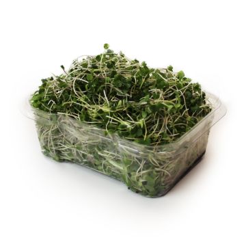 Organic Microgreens - Mix La Bonne Fortune