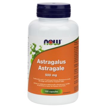 Herbs - Astragalus 500 mg