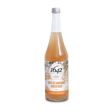 Soda - Ginger beer