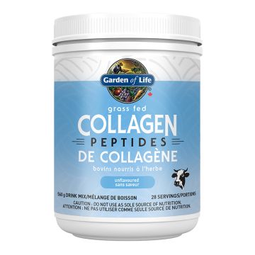 Collagen - Peptides