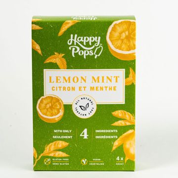 Ice pop -  Lemon & mint