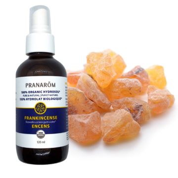 Organic Hydrosol - Frankincense