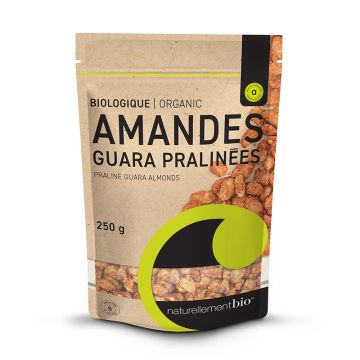 Amandes guara pralinées biologiques