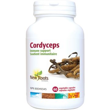 Champignons - Cordyceps