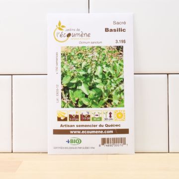 Organic seeds -  Holy Basil