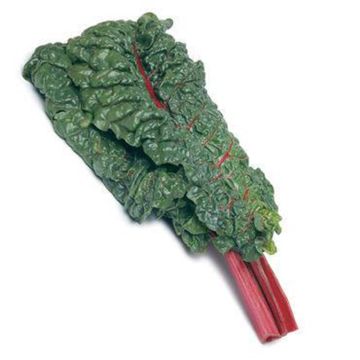 Organic Red Chard