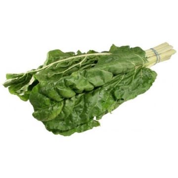 Organic Green Chard