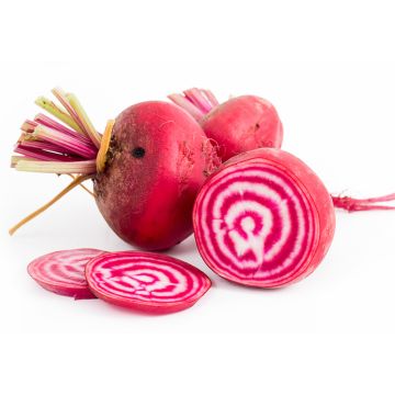 Organic Chiogga Beetroot