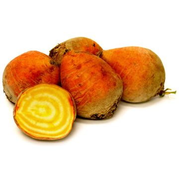 Organic Yellow Beets