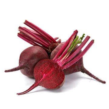 Organic Red Beets 