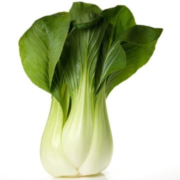 Bébé bok choy biologique