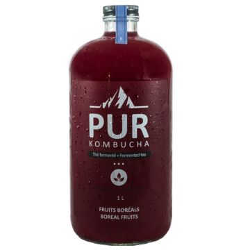 Organic Kombucha - Boreal Fruits