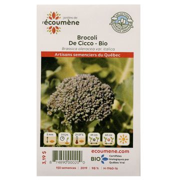 Légumes biologiques  – Brocoli de cicco  