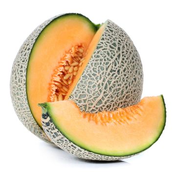 Cantaloup biologique