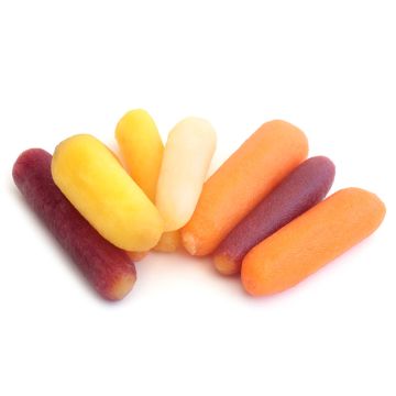 Minis carottes arc-en-ciel biologiques