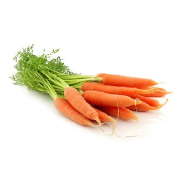 Organic Leafy Carrots