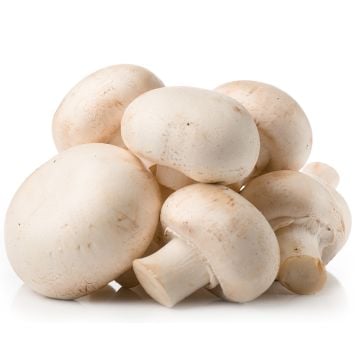 Champignons blancs biologiques 