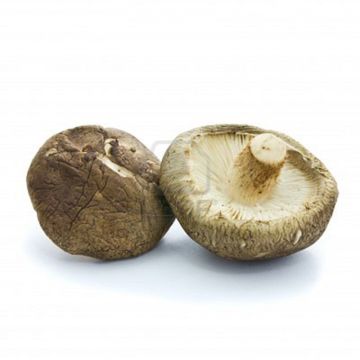 Organic Shiitake Mushrooms