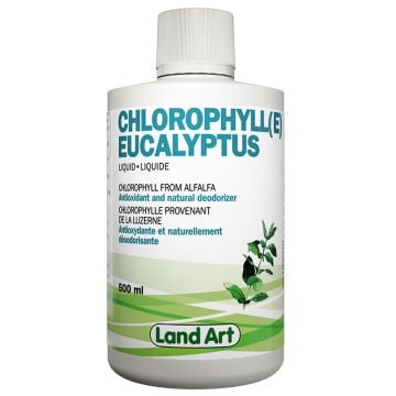 Chlorophylle - Eucalyptus