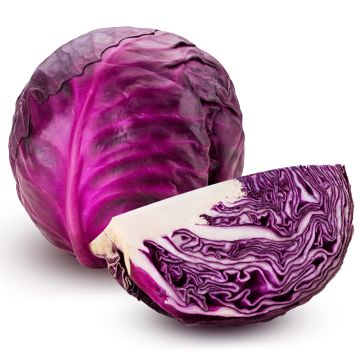 Organic Red Cabbage