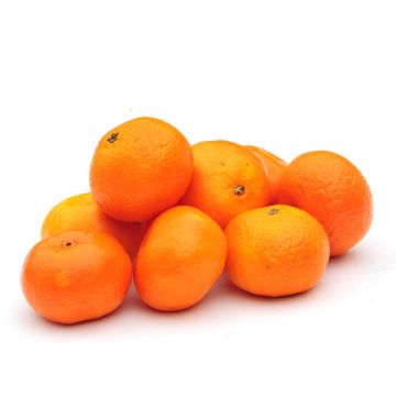 Organic Clementine