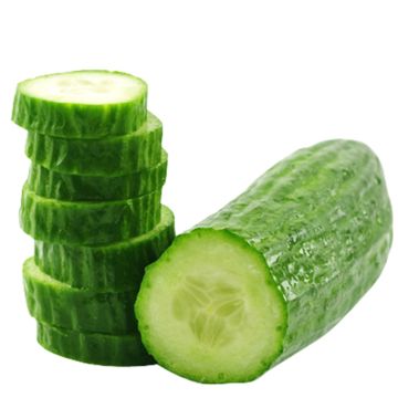 Organic English Cucumber