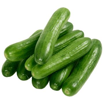 Organic Libanese Cucumber  