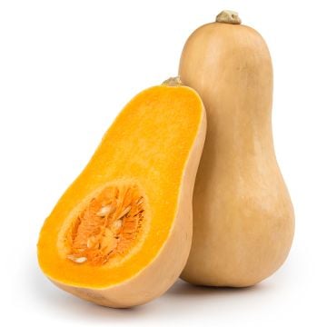 Organic Butternut Squash