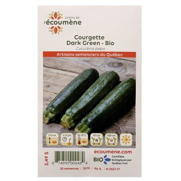 Courges  biologiques - Courgette dark green  