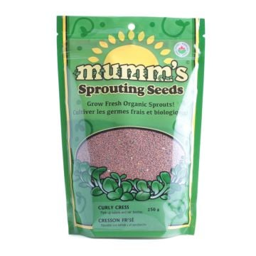 Sprouting seeds - Curly cress