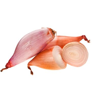 Organic French Shallots