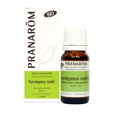 Essential Oil - Eucalyptus Radiata