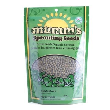 Sprouting seeds - Mung beans