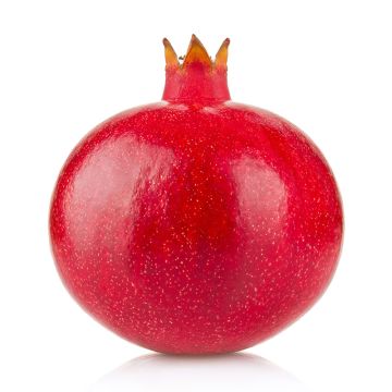 Organic Pomegranate