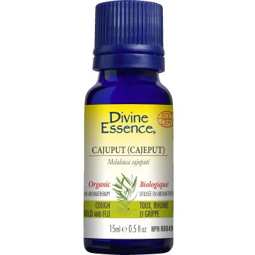 Essential Oil - Organic Cajeput (Melaleuca cajuputi)