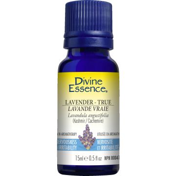 Essential Oil - True lavender Kashmir (Lavandula angustifolia)