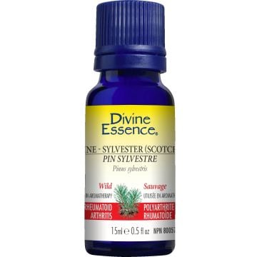 Essential Oil - Sylvester Pine (Pinus sylvestris)