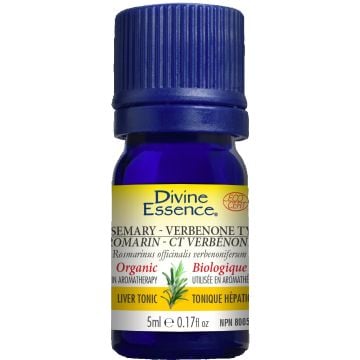 Essential Oil - Rosemary verbenone organic (Rosmarinus officinalis verbenoniferum)