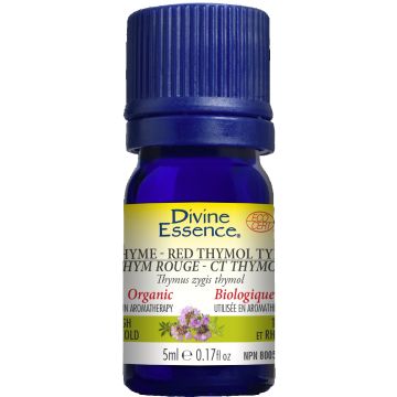 Essential Oil - Red thyme (Thymus zygis thymol)