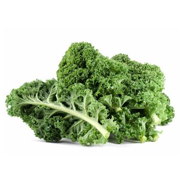 Kale vert biologique