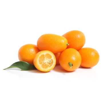 Kumquat biologique