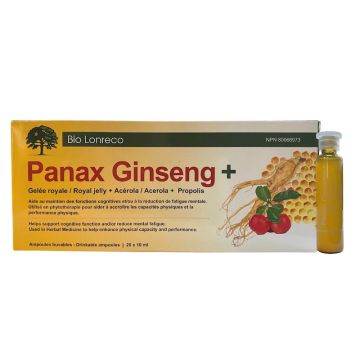 Panax Ginseng + Gelée royale et acérola - Santé cognitive