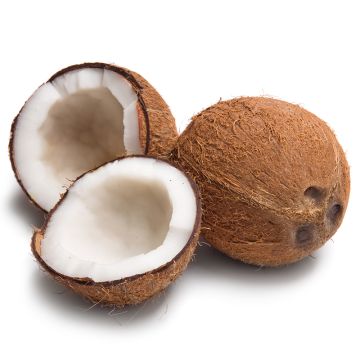 Jeune noix de coco biologique