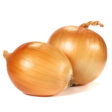 Organic Bulk Onion