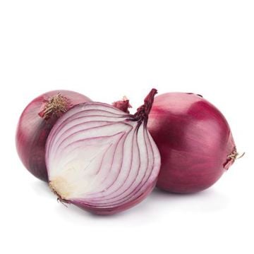 Organic Red Onions 