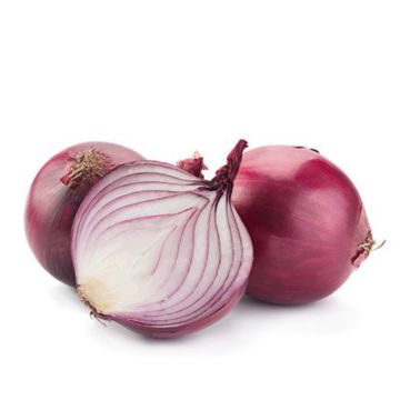 Organic Red Onion