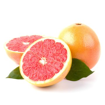 Organic Pink Grapefruit